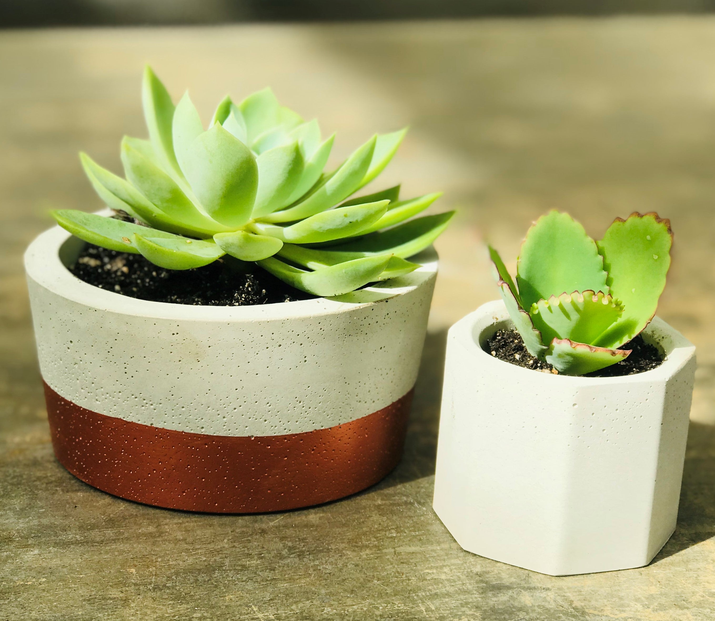 Concrete Planters