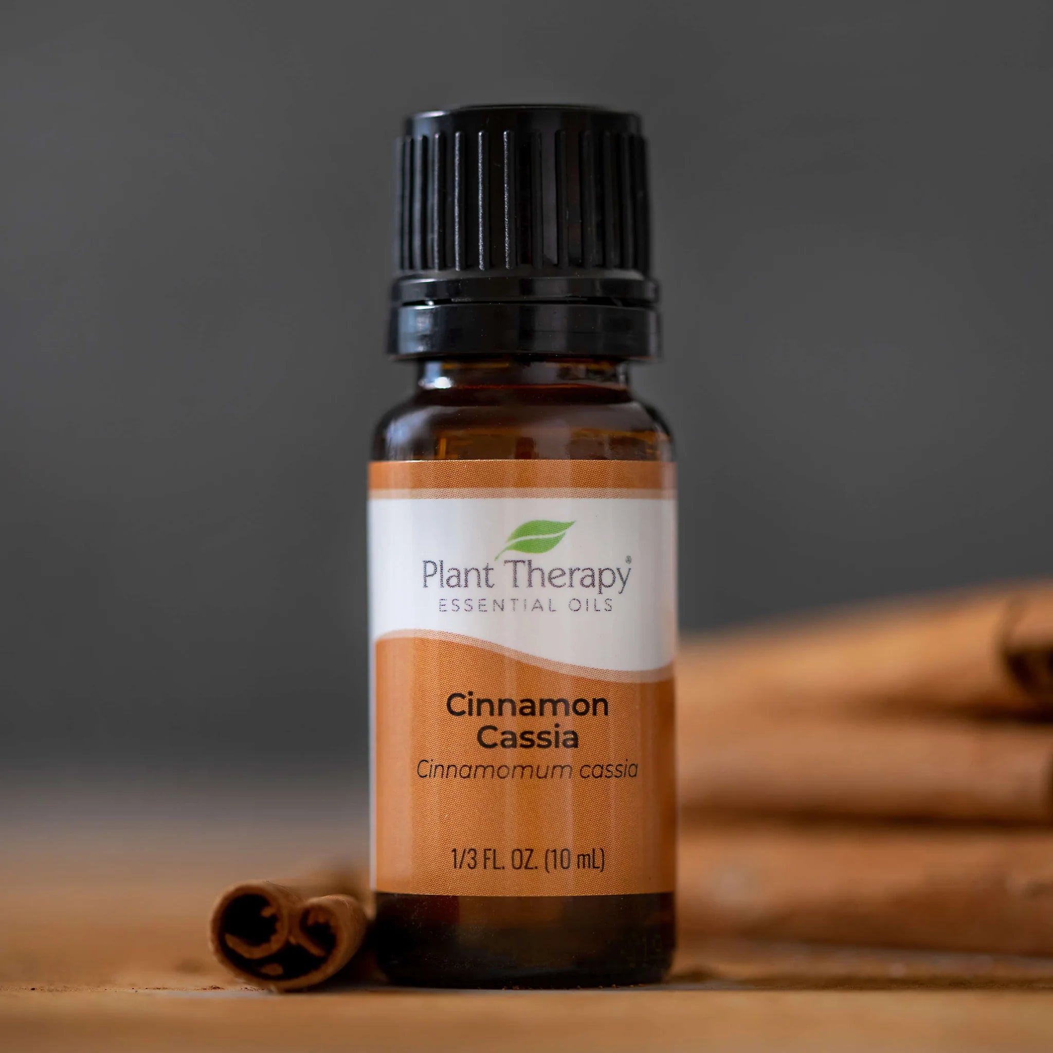 plant therapy cinnamon bark essential oil Cinnamon Cassia Essential Oil